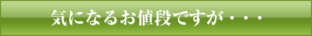 気になるお値段ですが…。