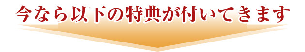 今なら以下の特典がついてきます。